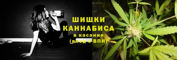 ГАЛЛЮЦИНОГЕННЫЕ ГРИБЫ Абинск