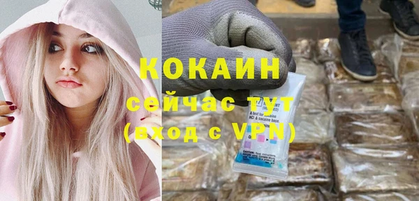 молекула духа Алексин