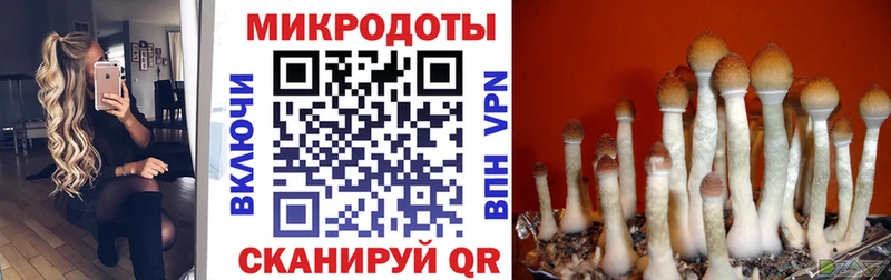 купить наркотики сайты  кракен онион  Галлюциногенные грибы Cubensis  Мегион 