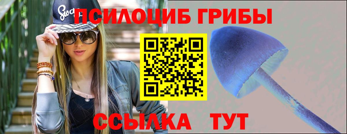 Псилоцибиновые грибы Psilocybine cubensis  Вход с VPN  Мегион 